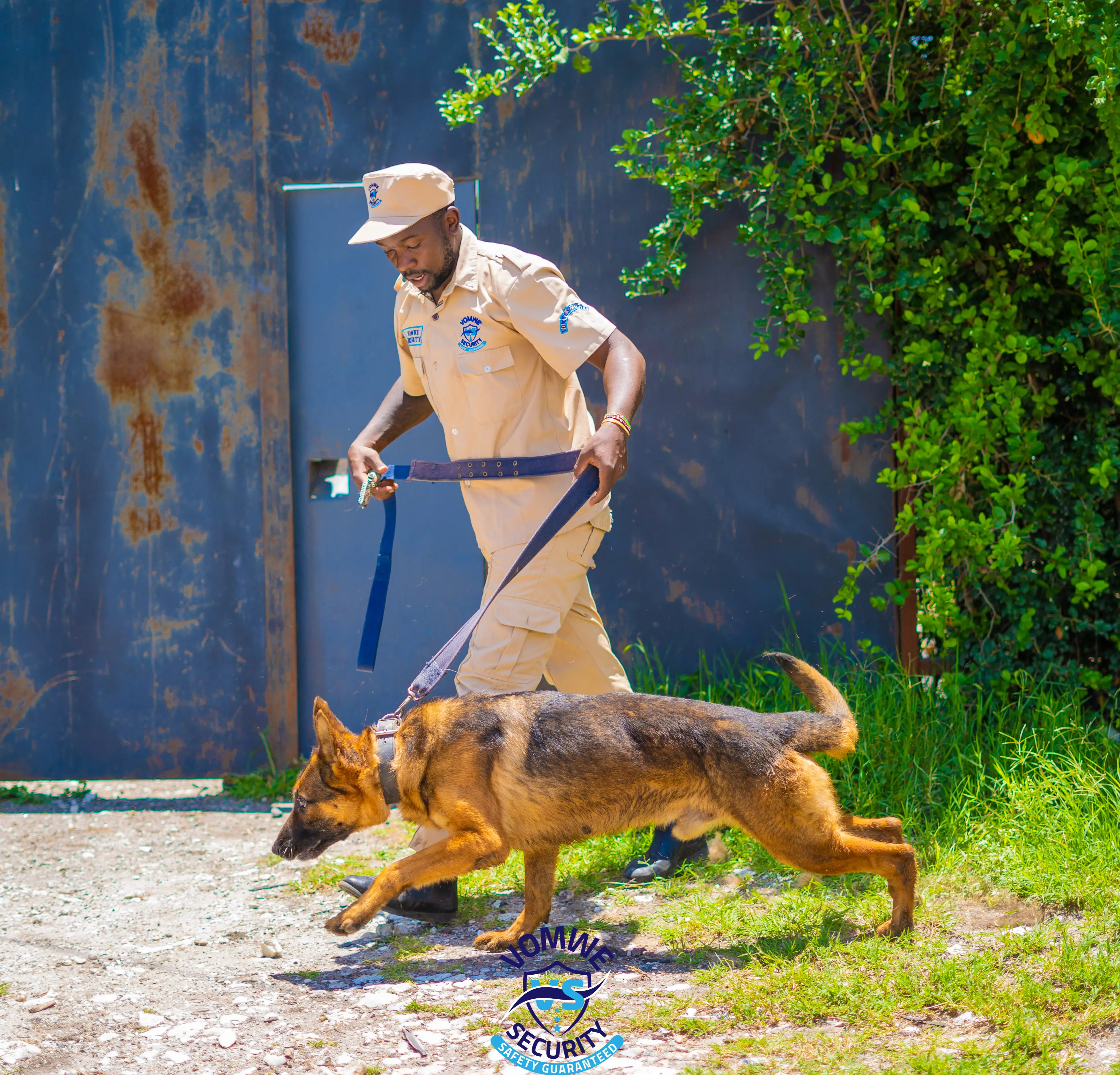 K9 Breeding